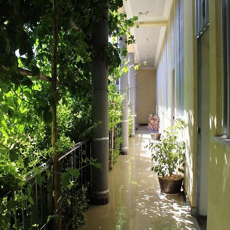 Bahir Dar Backpackers Hostel Bagian luar foto